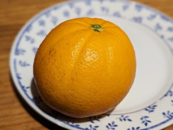 ORANGER PRECOCE