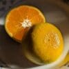 SATSUMA PRECOCE coupé en deux