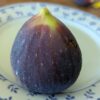 une figue de ficus carica creeper sur une assiette