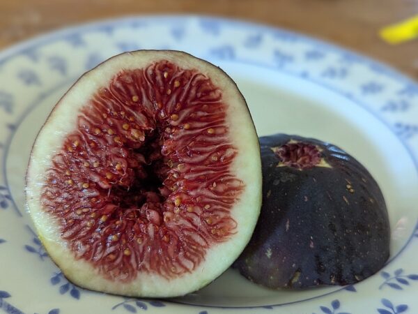 une figue de ficus carica Wilmington creeper coupée en deux sur une assiette