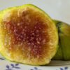 1 figue bien mûre d'un ficus carica Toro Sentado ou Sitting Bull coupée en deux sur une assiette