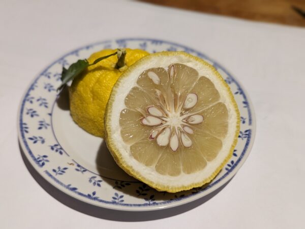 ichanglemon ouvert et posé sur une assiette