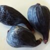 3 figues bleu, little miss figgy, sur une assiette