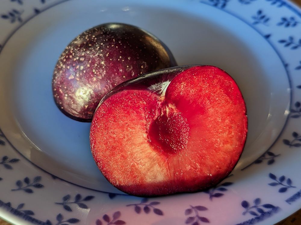 pluot-violet-rouge-int-open
