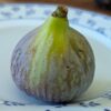 Figue Big Leaf Jerusalem sur assiette