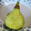 grande figue blanche sur assiette, Ficus carica China White