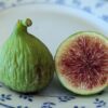 Fruit de Ficus carica Xinjang Yellow