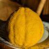 pomelo oboveida Jokan est un des pomelos les plus résistant au froid. La chair ferme est bien sucré et parfumé
