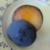Hybride interspécifique complexe entre une prune et un abricot