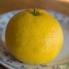 Citrus paradisi Asahikan peu amère, sans pépins