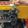Grappe de vigne Black Magic, tenue dans la main